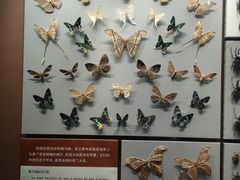 -天津自然博物馆
