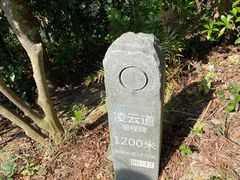 -梧桐山风景名胜区