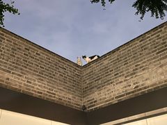 -自如ZSPACE四合院艺术餐厅