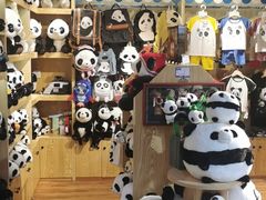 -月满大江火锅(总府路店)