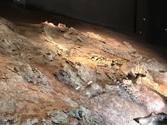 -世界恐龙谷景区