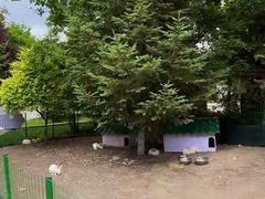 -国信南山温泉