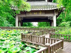 -梁鸿国家湿地公园