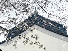 -阳澄湖半岛旅游度假区
