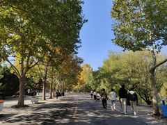 -石家庄市动物园