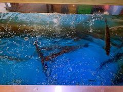 -红樽舫湖州菜.湖景餐厅(太湖渔人码头店)