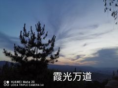 -兰山公园