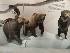 -武汉园博园(武汉自然博物馆)