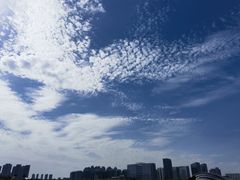 -天鹅湖体育公园