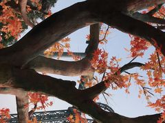 -黄腾峡天门悬廊