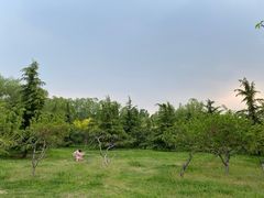 -大兴滨河森林公园