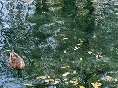 -水磨沟公园