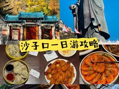 -单家老院·院子里的青岛菜(沙子口店)