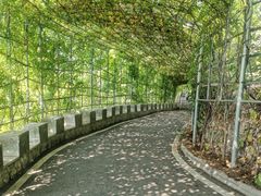 -蓟州溶洞风景区
