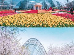 -南山植物园