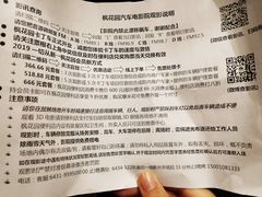 -枫花园汽车电影院(朝阳公园店)