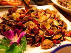 -福苗小骆驼烧烤(大唐不夜城店)