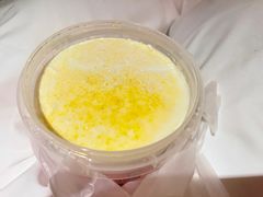 -德禄酸奶(莫家街店)