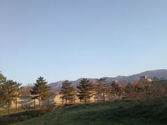 -秦始皇帝陵博物院-丽山园