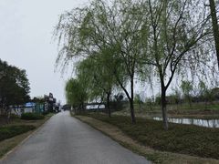 -梁鸿国家湿地公园