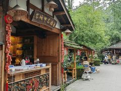 -青城甲(青城山店)