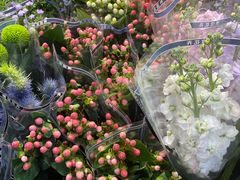 -循礼门鲜花花市(武汉循礼门店)