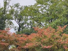 -长田漾湿地公园