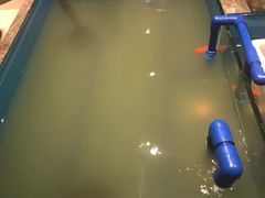 -星伦多自助料理(华润万象城店)