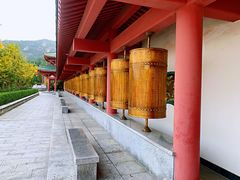 -龙口南山旅游景区