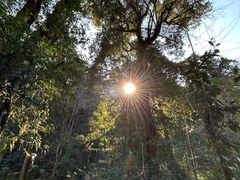 -云南屏边大围山国家公园