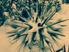 -京城胜利涮羊肉(禧乐汇店)