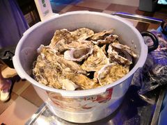 高压锅生蚝-千岛蚝高压锅生蚝·人参火锅(白云万达店)