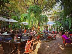 -Fern Forest Cafe