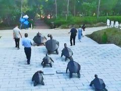 -广东惠东海龟国家级自然保护区