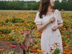 -山明水秀大饭店