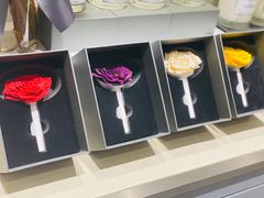 -ROSEONLY诺誓(青岛万象城店)