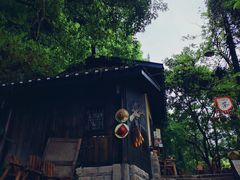 -南山植物园