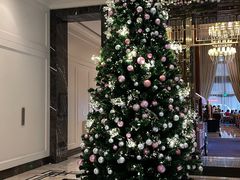 -东海朗廷酒店·廷廊 Palm Court