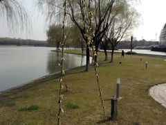 -东华大学(松江校区)