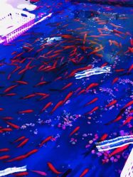 -孩子王童乐园(西安盛龙店)