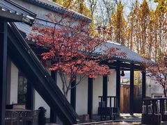 -禧宴Joyous Restaurant(禧园店)