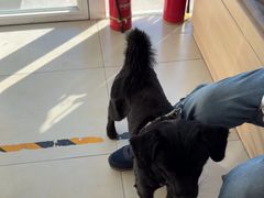 -宠福鑫康馨动物医院·骨科·眼科