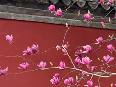 -红螺寺