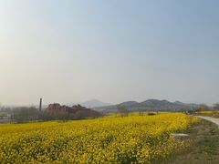 -西海岸生态观光园