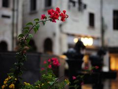 -华谊兄弟（长沙）电影小镇