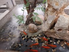 -小菜园新徽菜(南通崇川金鹰店)