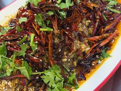 -三中高皇羊肉馆