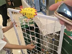 -大丰收海鲜地方菜馆