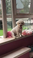 -Pink You美甲美睫纹绣定制中心