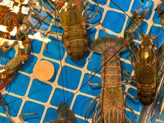 -袁老大龙虾(石鼓路总店)